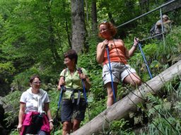 2016 Hochbaerneck (36)